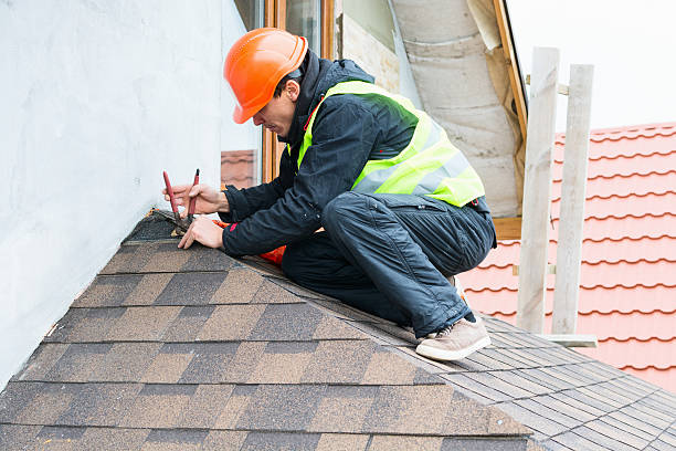 Best Metal Roofing Contractor  in Window Rock, AZ